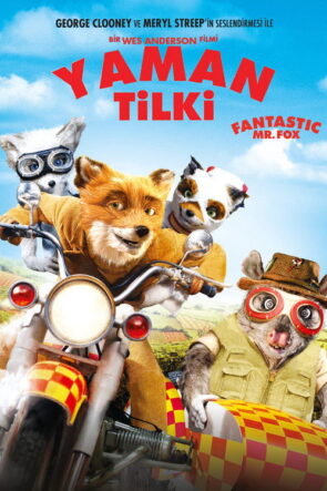 Yaman Tilki izle (2009)