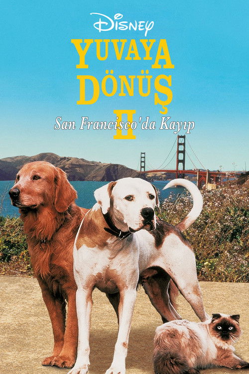 Yuvaya Dönüş II: San Francisco’da Kayıp izle (1996)